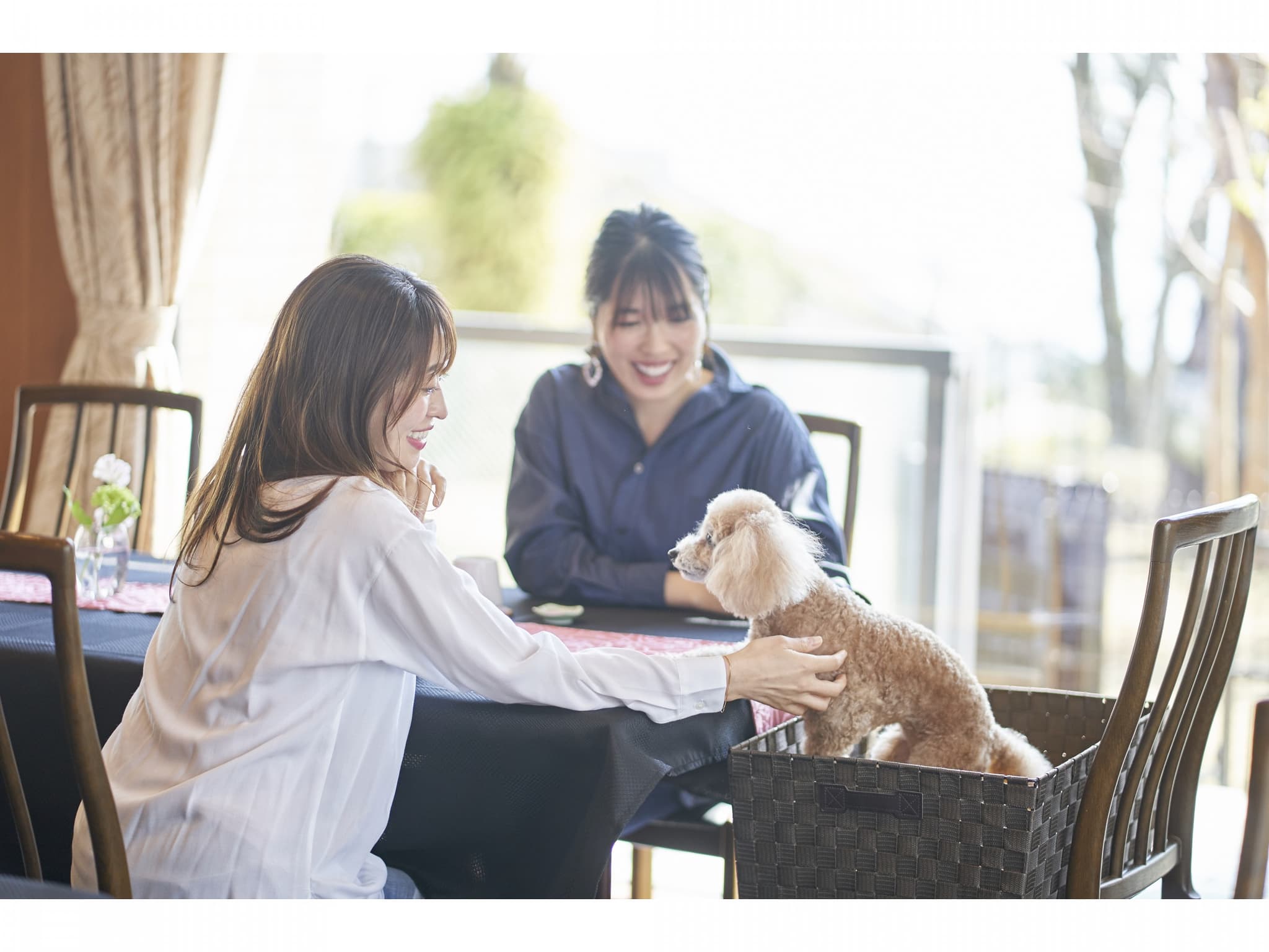 Restaurant image