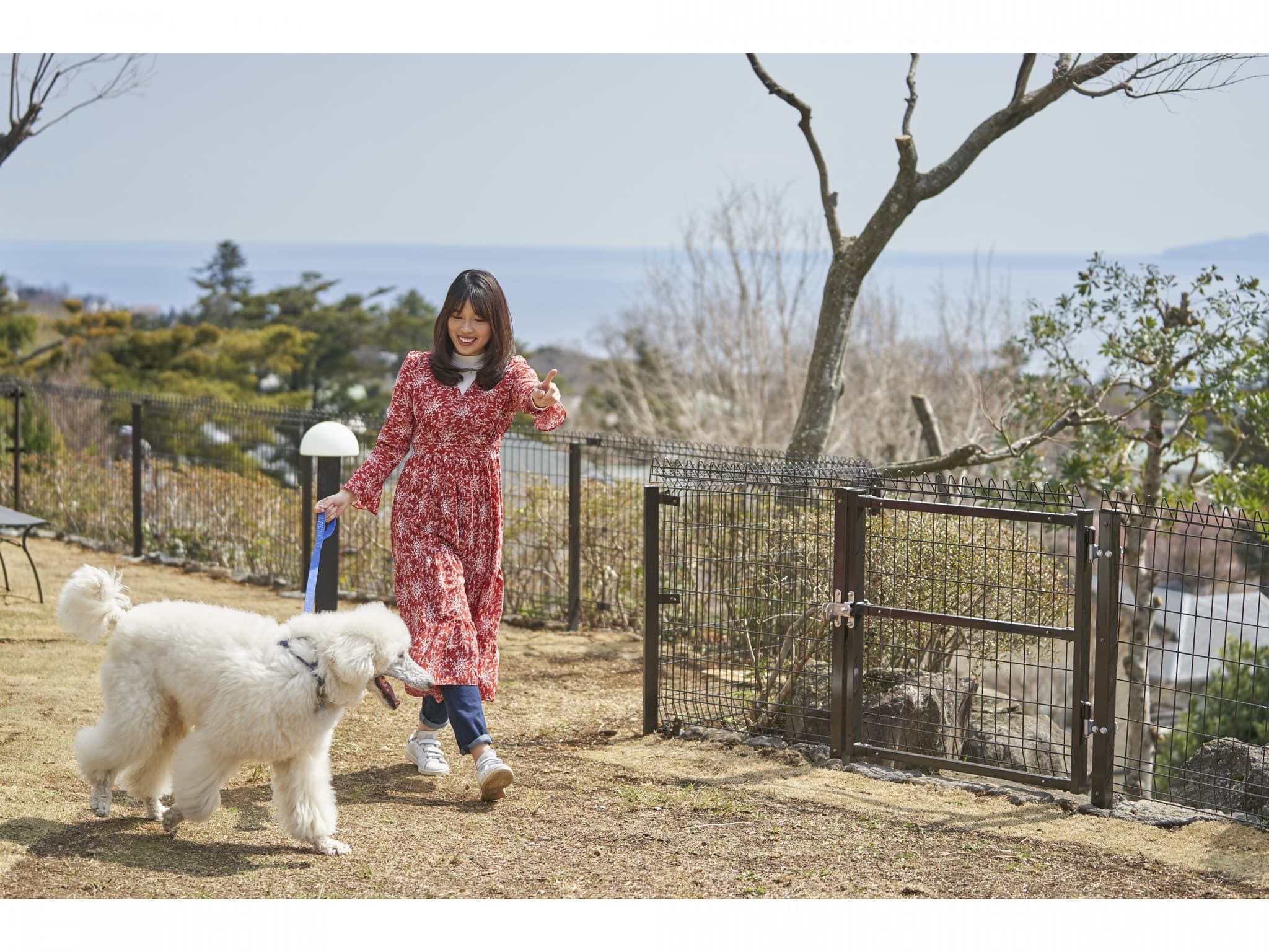 Pet dog community open space (outdoor)