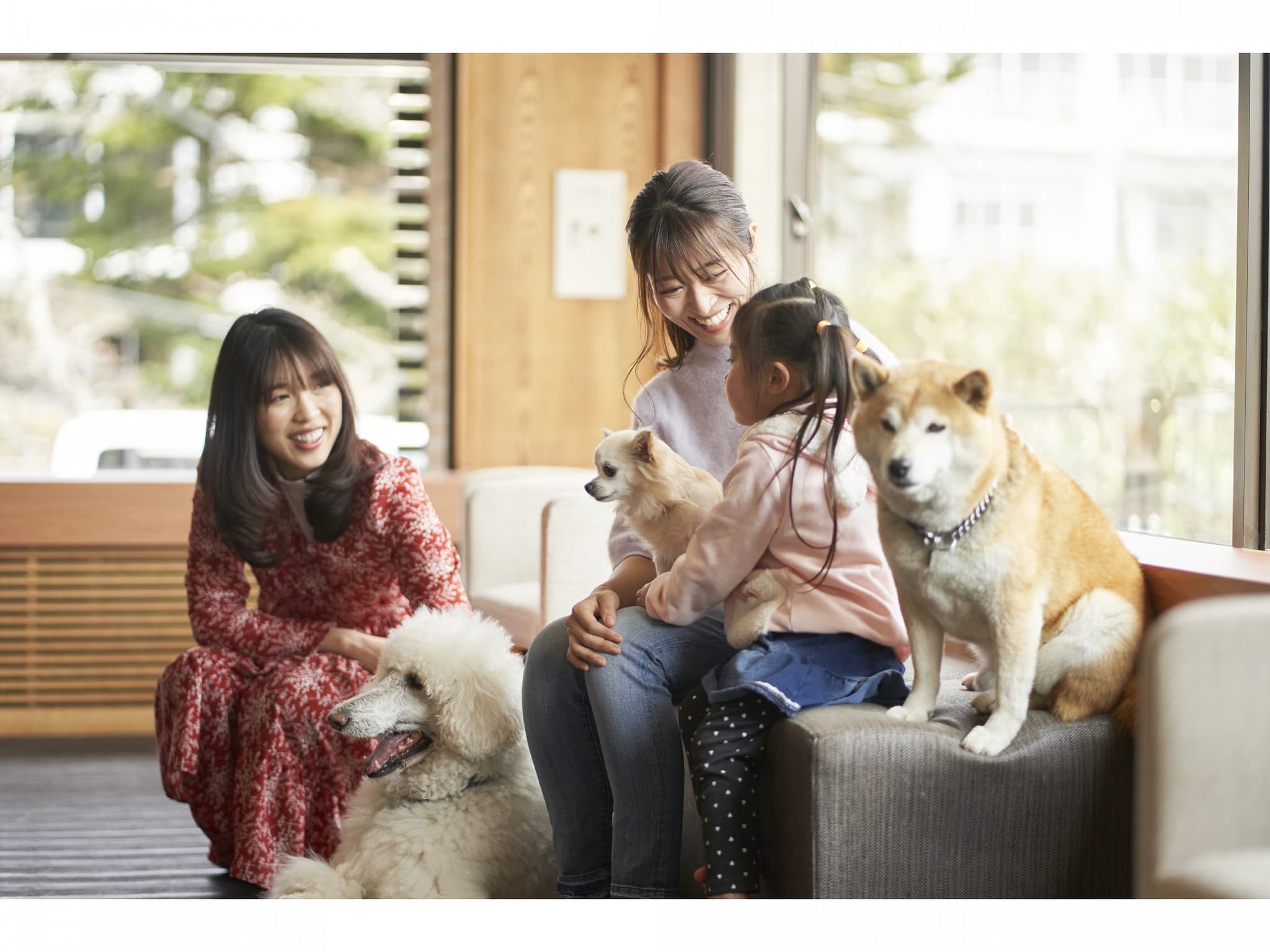 Pet dog community open space (indoor)