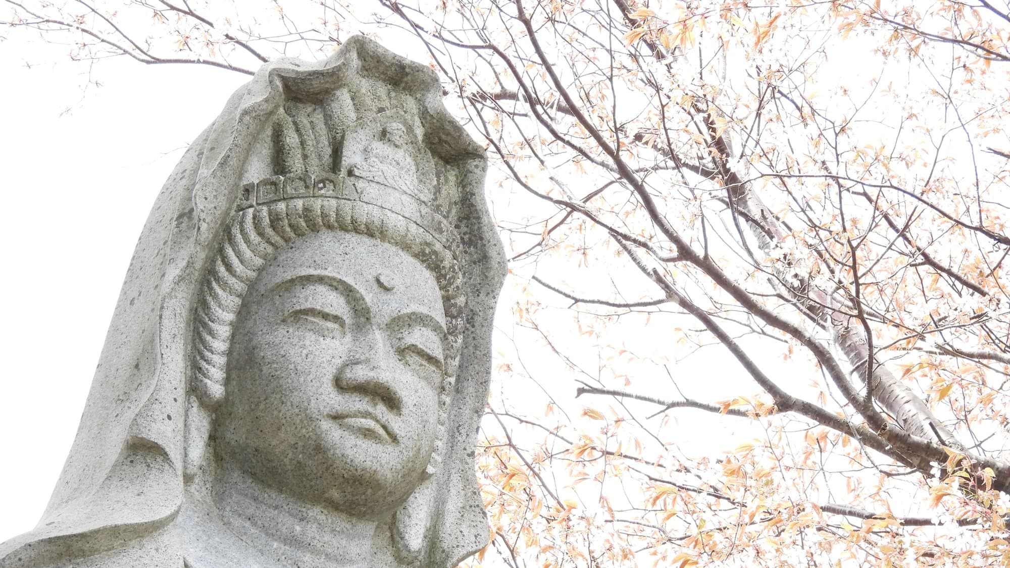 *Nearby sightseeing/Gyokusenji Temple