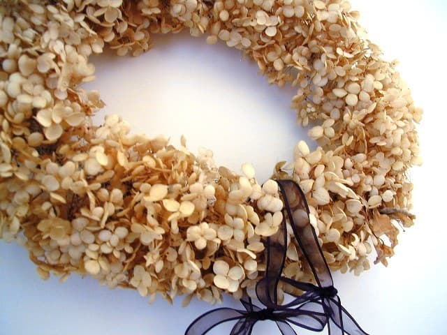 A wreath using Annabel that bloomed in the garden