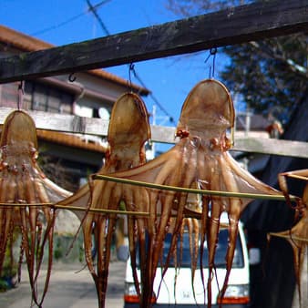 日間賀島　季の島宿　大田照片7