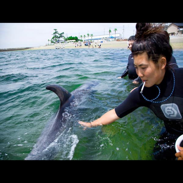 日間賀島　季の島宿　大田照片11
