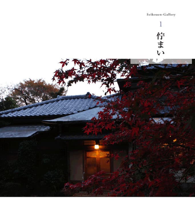 Appearance [1]