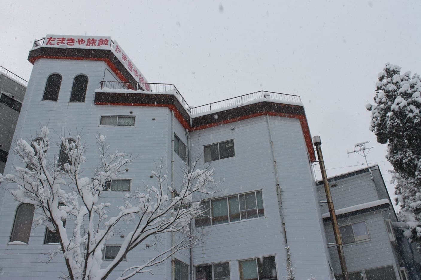 유자와 다마키야 photo 13