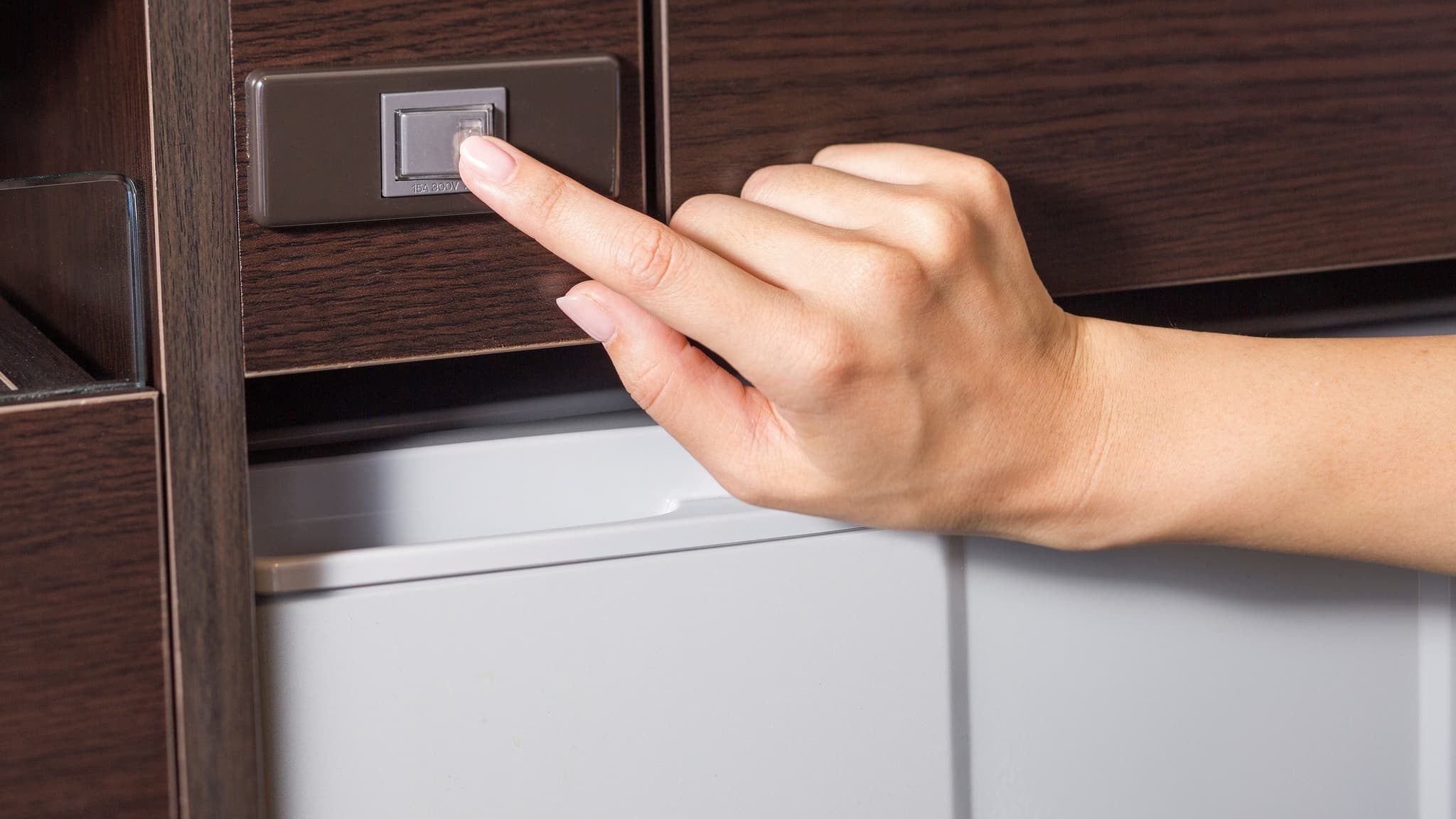 Refrigerator Switch