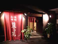 Appearance image