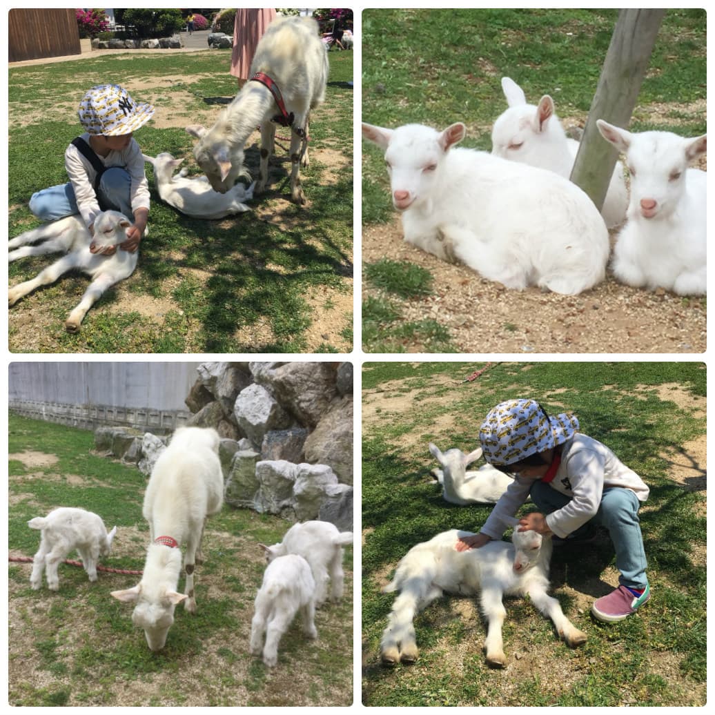 유노사토 고마치 온천 시코쿠야 photo 16