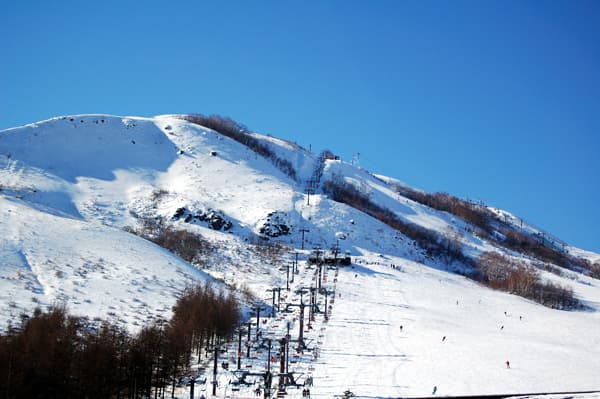 리조트 인 미스티 사진 6