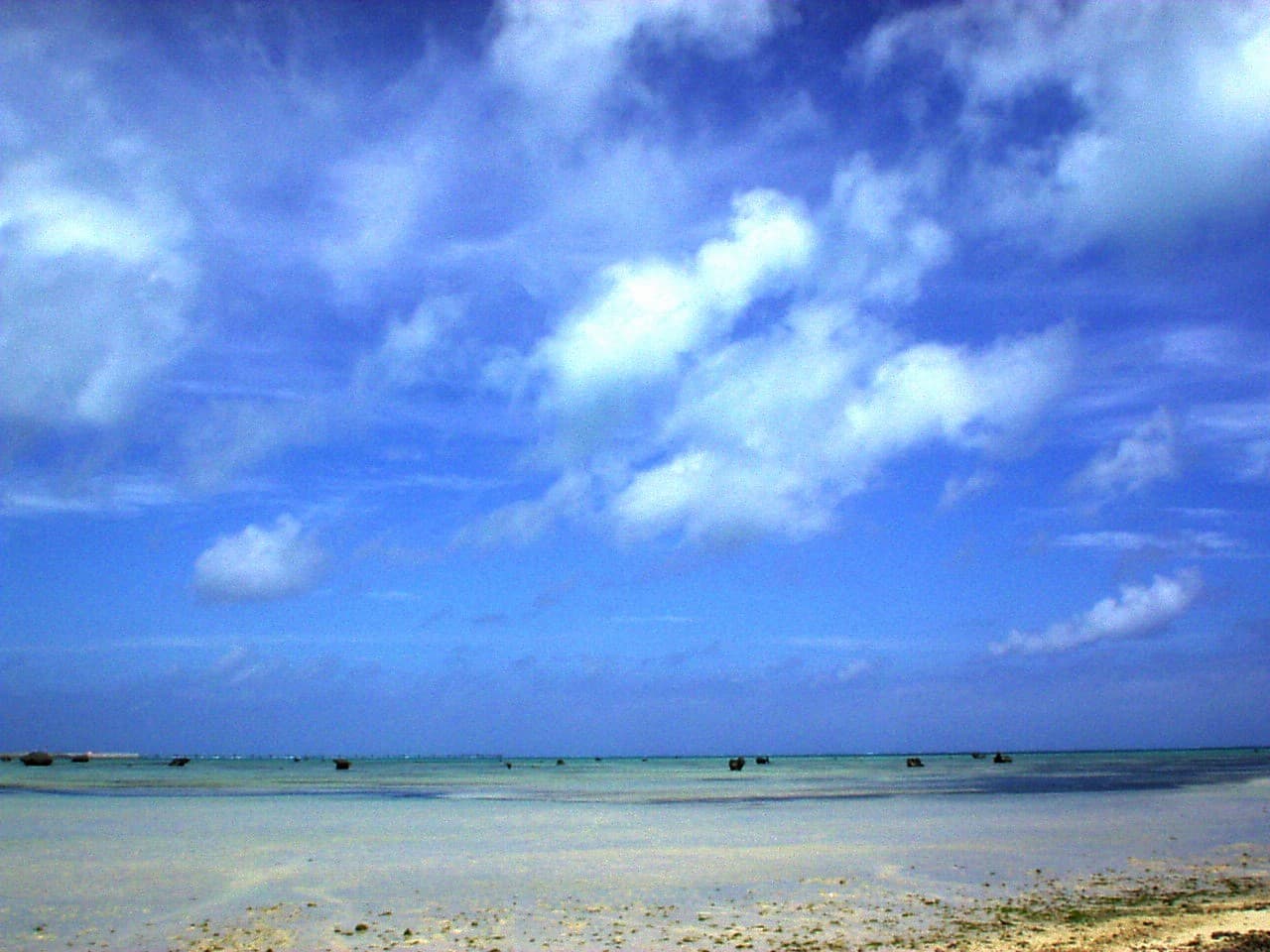 [Sawada Beach]