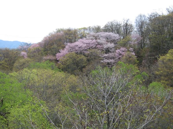반다이아타미 온천 오리후시노야도 쇼게쓰 photo 12