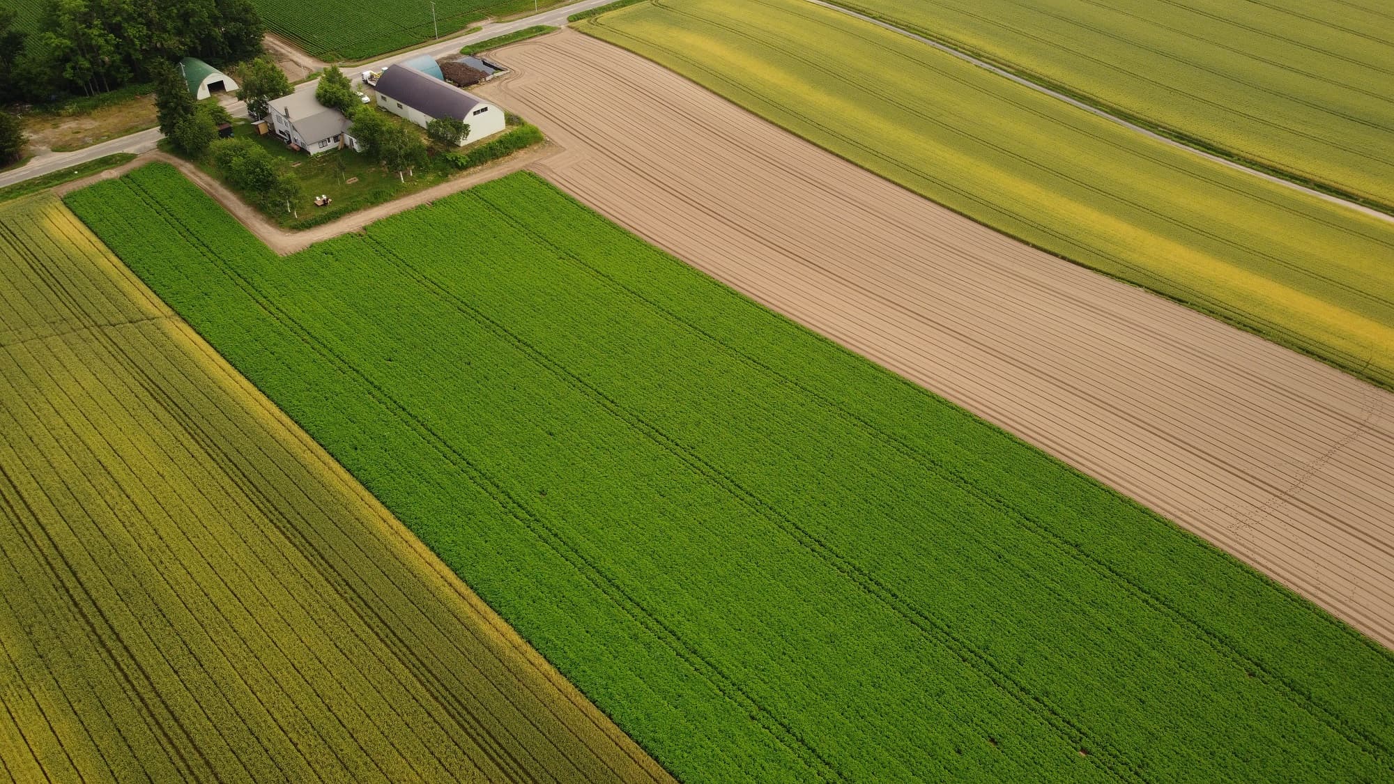 ★Three colored fields