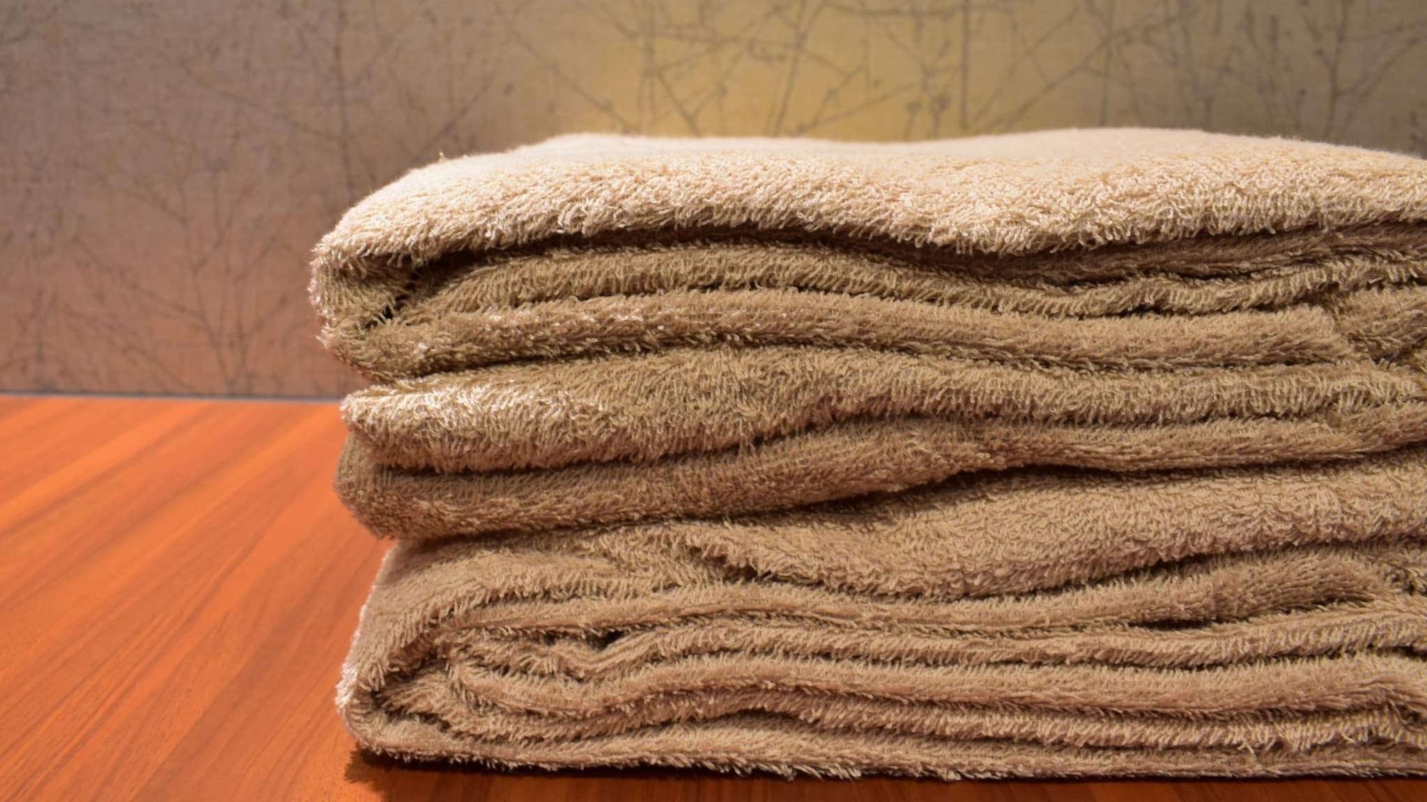 [Rental equipment] Blanket