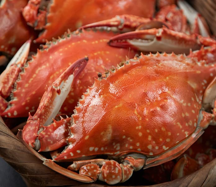 오바마온센 프라이빗 스파 호텔(오렌지 베이)