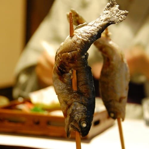 오쿠아소노야도 야마나미 photo 11