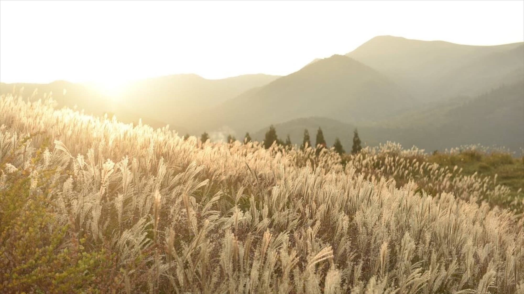 Golden mountains
