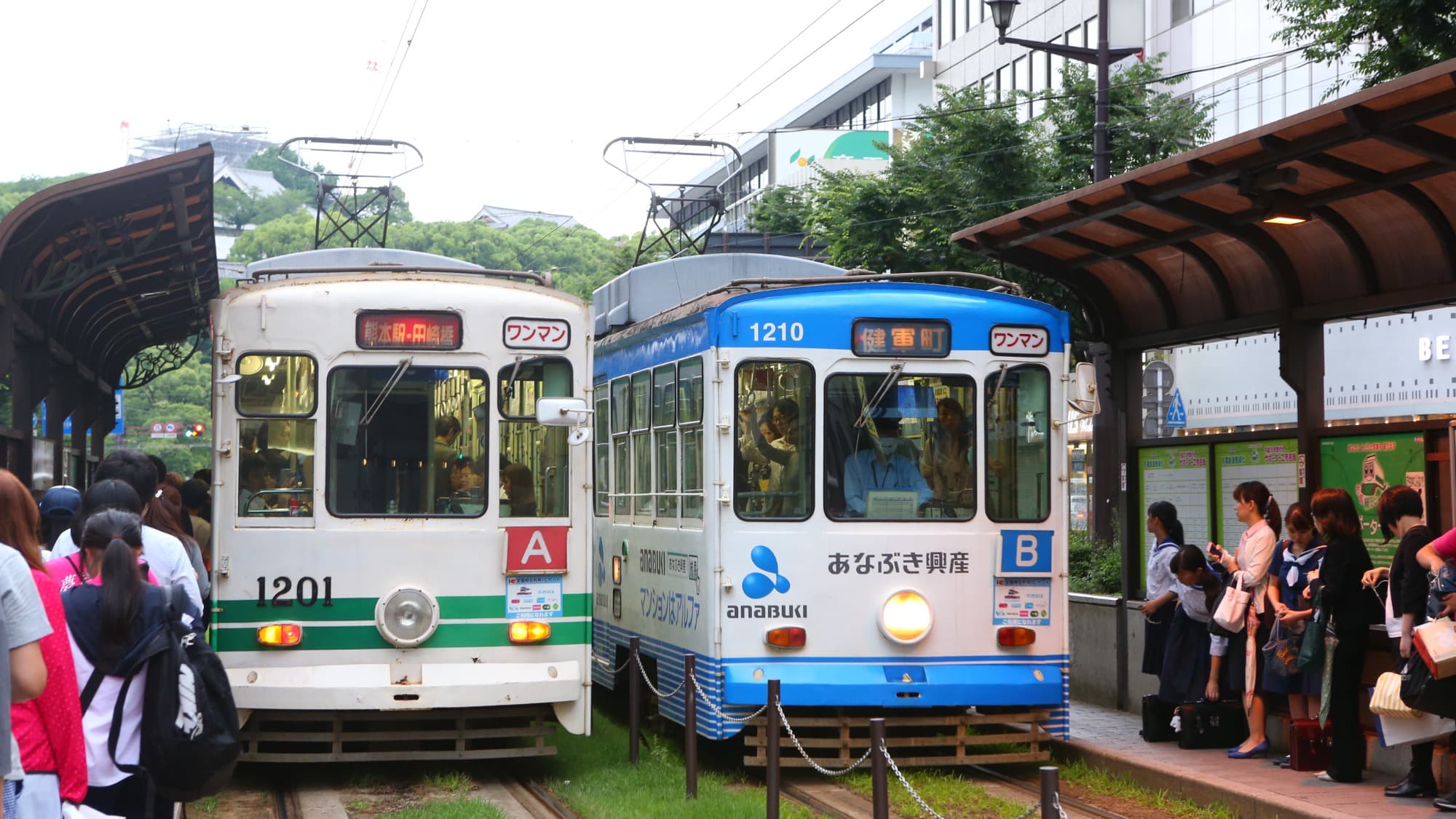 Nearby Sightseeing | Tram