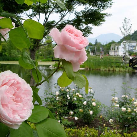 □ Karuizawa Lake Garden Approximately 10 minutes by car in normal times