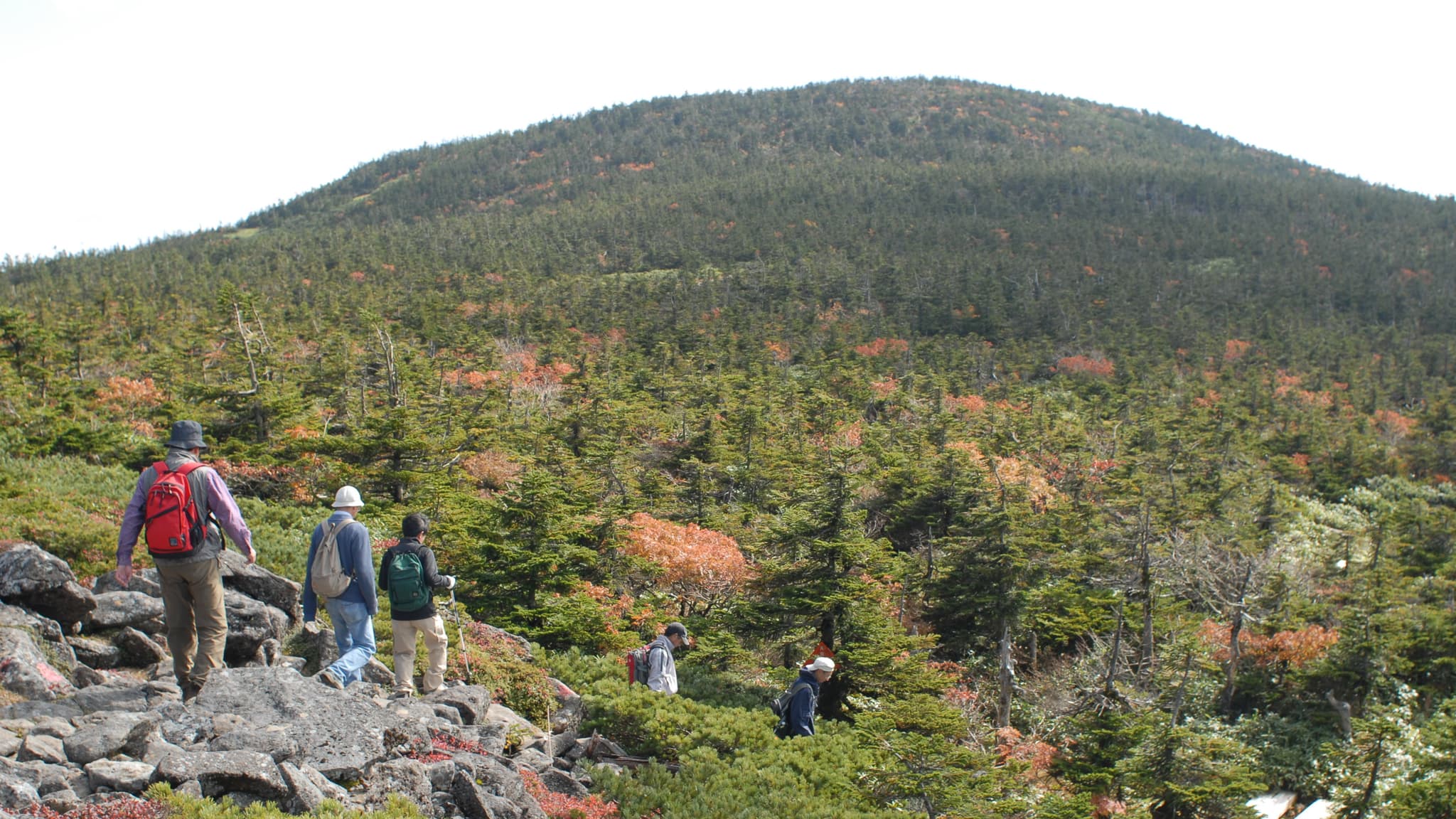 Mt. Nishi-Azuma trekking
