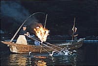 Kyoto cormorant fishing in summer