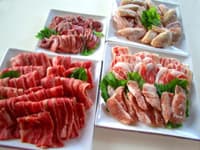 야스라기노벳테이 시키테이 photo 12