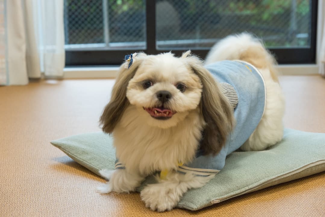 시라하마 소<후쿠이현> photo 9