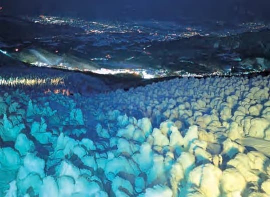 Illumination of frost-covered trees
