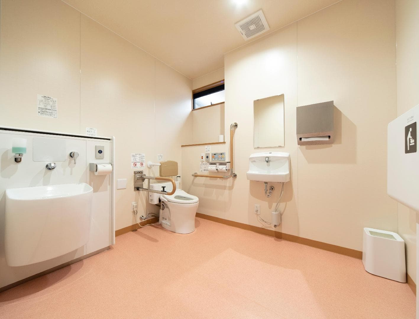 Multipurpose toilet