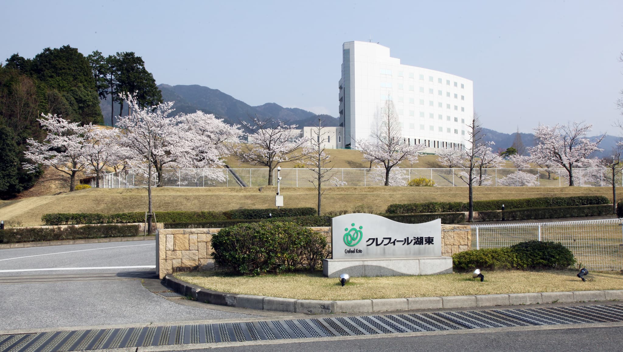 Slope entrance cherry blossoms