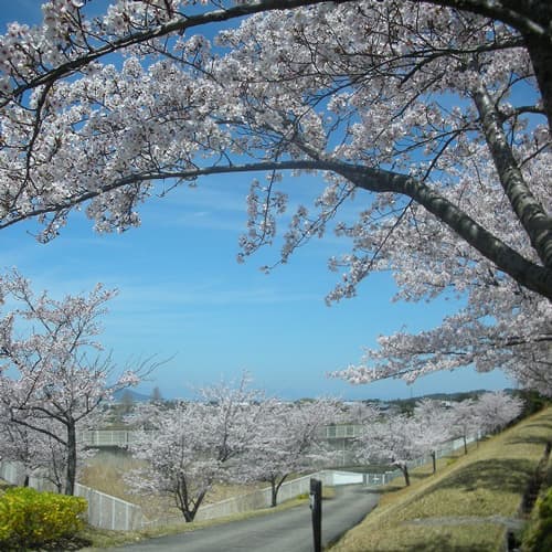 크레필 고토