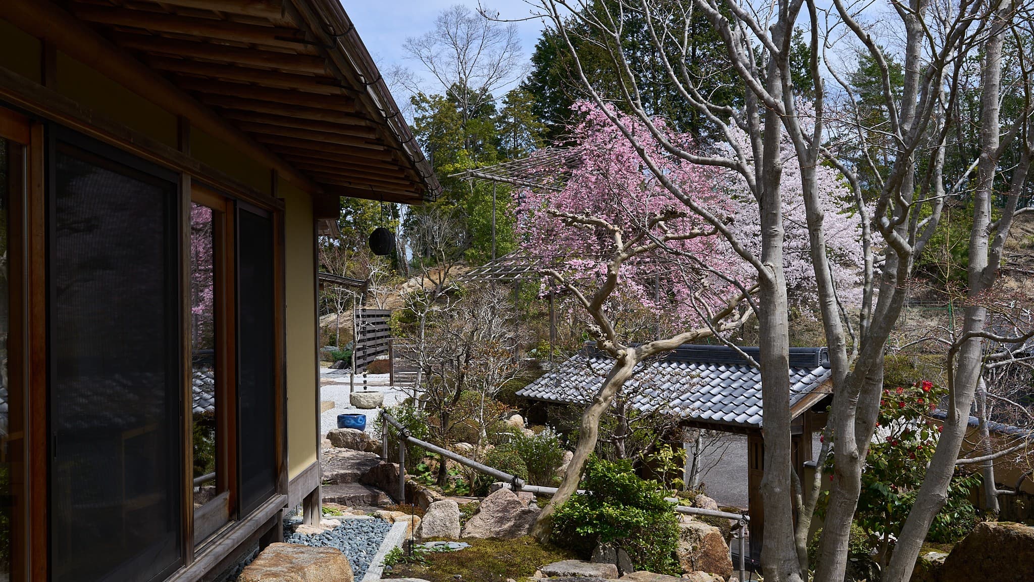 Exterior (Spring)