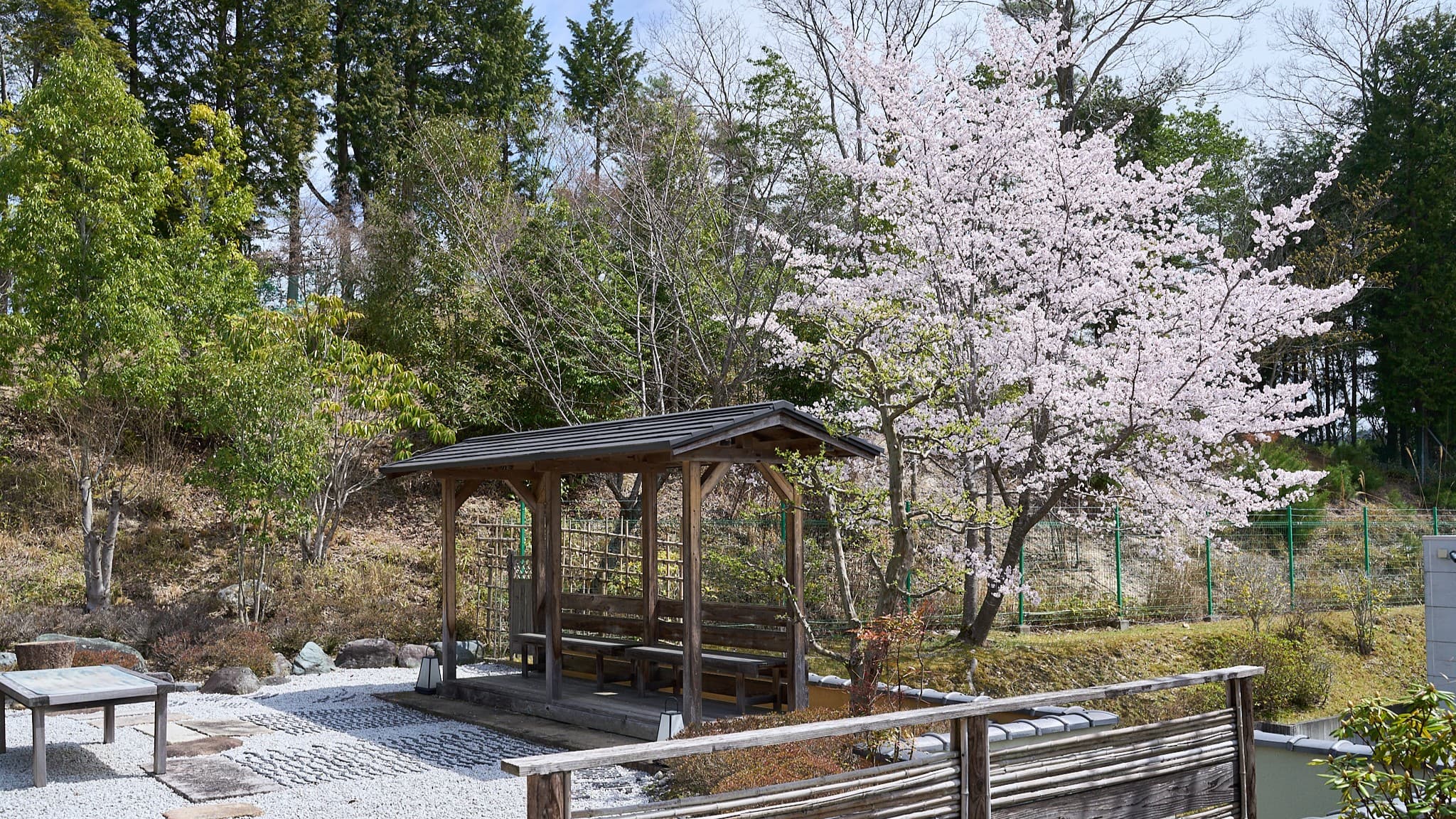 Exterior (Spring)