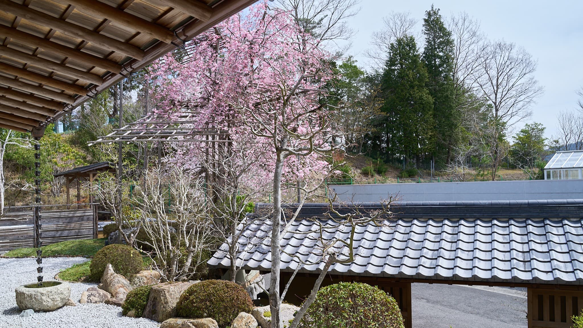 Exterior (Spring)