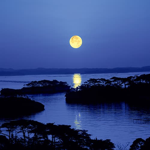 하나고코로노유 신토미테이 photo 15