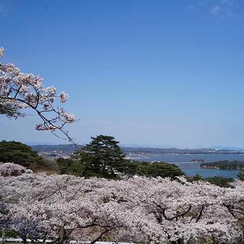 하나고코로노유 신토미테이 photo 19