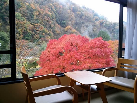 SPRINGS VILLAGE 아시가라·탄자와 온천 리조트&글램핑 photo 17
