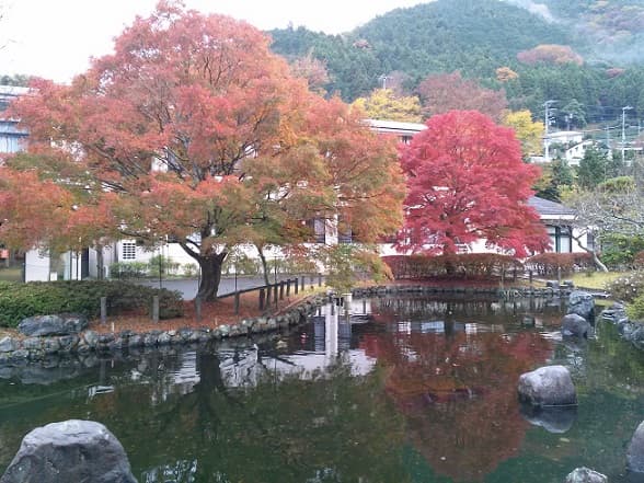 SPRINGS VILLAGE 아시가라·탄자와 온천 리조트&글램핑 photo 12