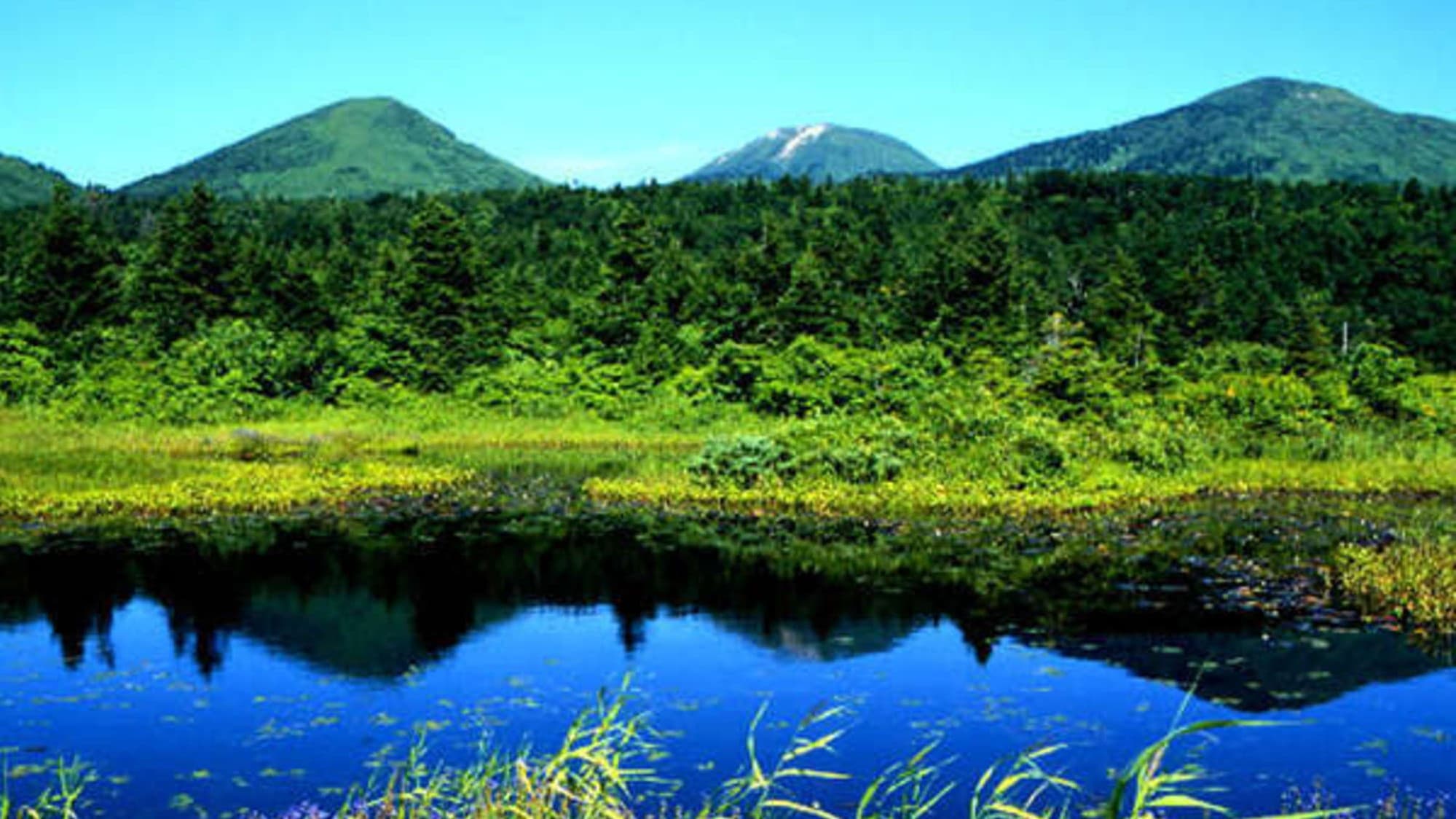 Hakkoda Mountains in summer