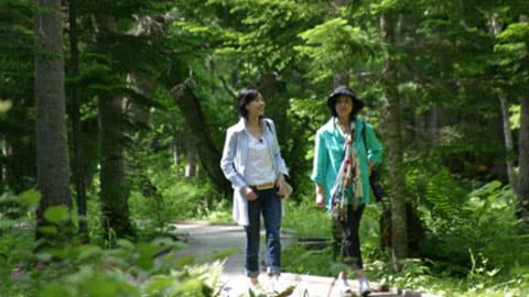 [Activity] Forest Therapy-1
