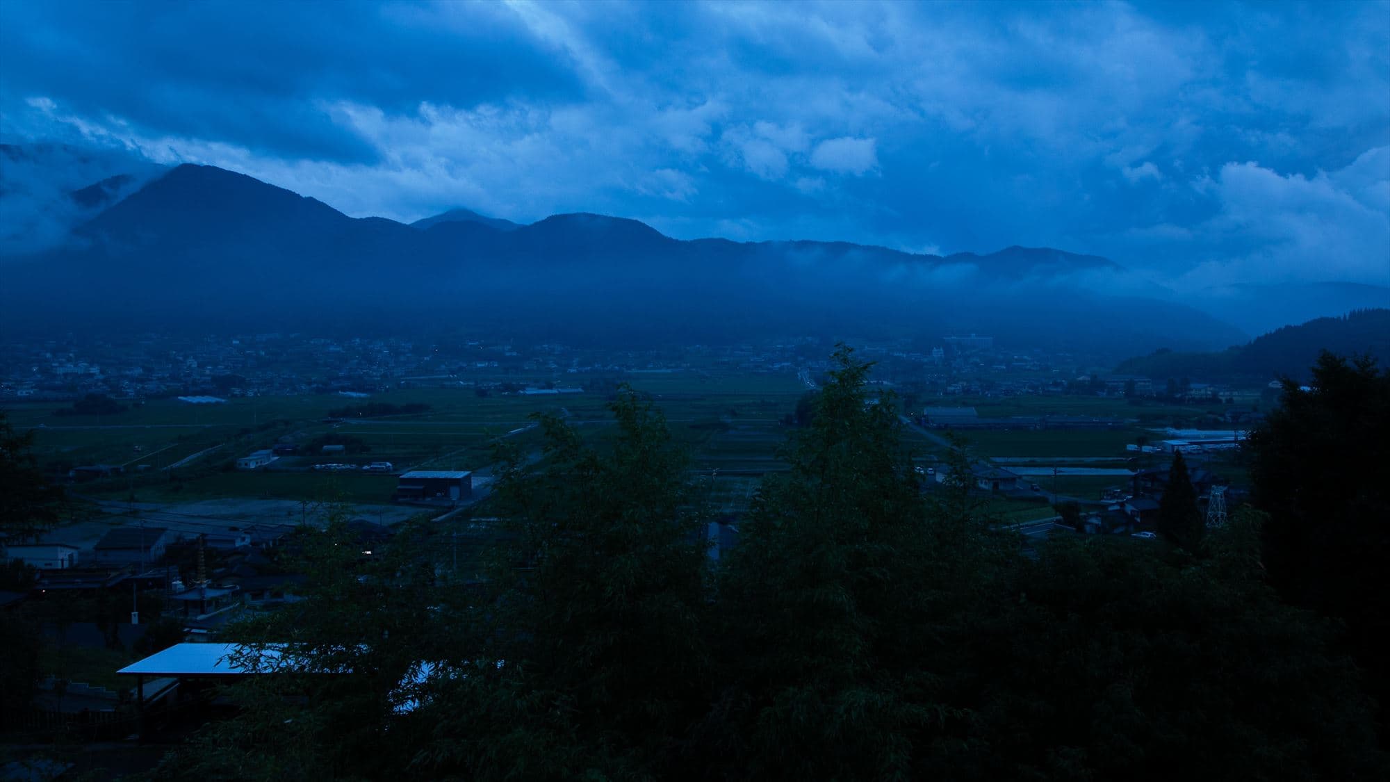 view