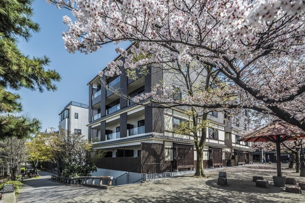 Appearance Sakura
