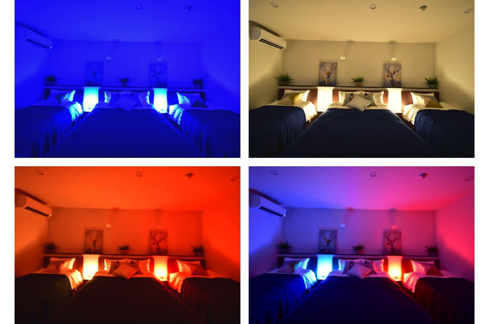 [102] Indirect lighting at the bedside