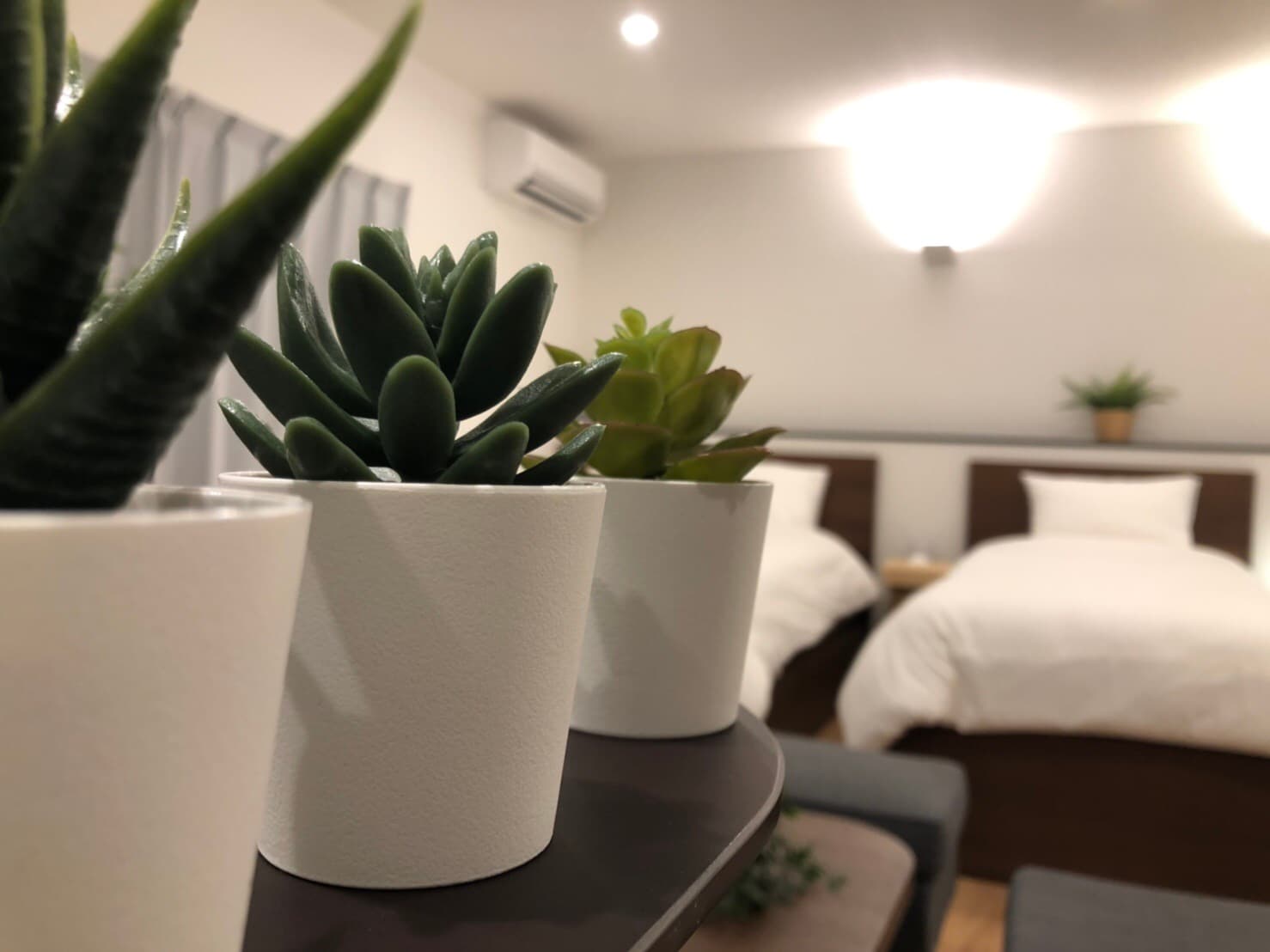 [102] Houseplants