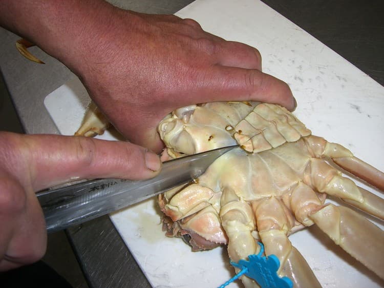 하마사카온천 우미베노오야도 마루분 사진 8
