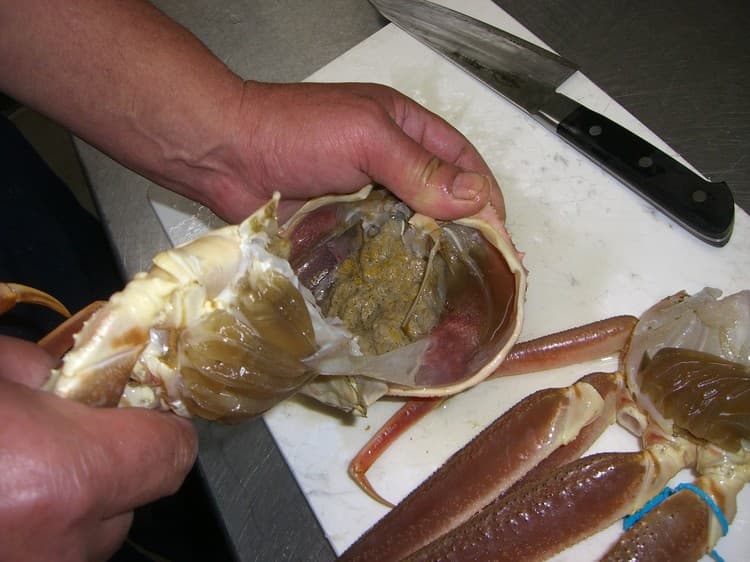 하마사카온천 우미베노오야도 마루분 사진 9