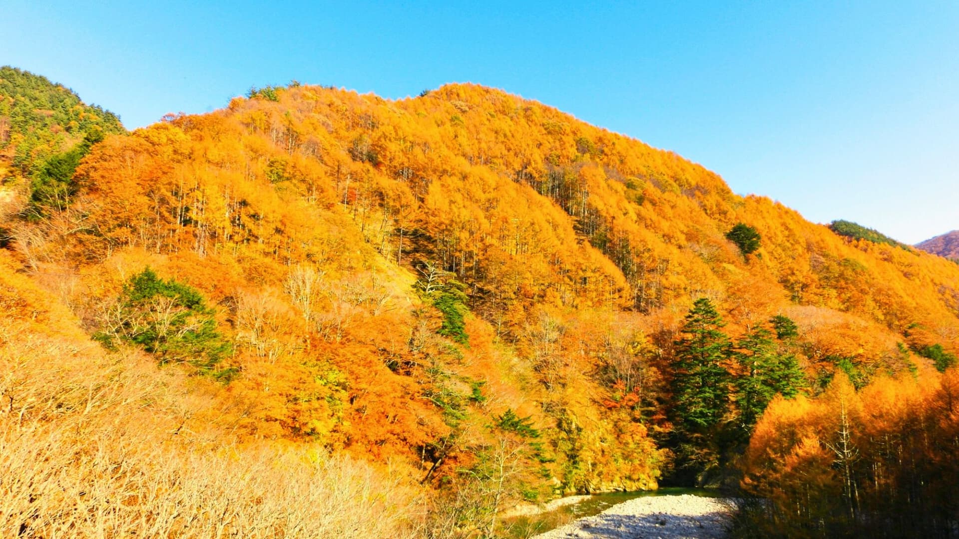 Nishizawa Valley: A spectacular spot for viewing autumn leaves, whether you visit the area or admire it from afar. It's about a 50-minute drive from our hotel.