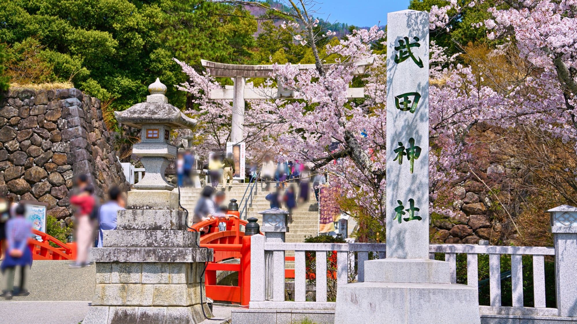 Takeda Shrine: Enshrining Takeda Shingen, this is a cherry blossom viewing spot where 200 cherry trees bloom in the spring. It is about an 11-minute drive from our hotel.