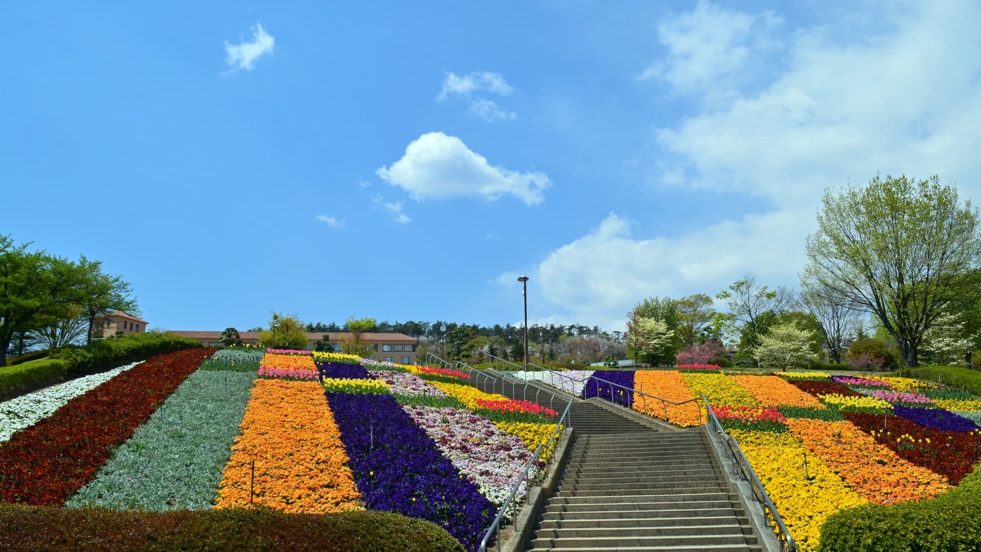 [Fuefukigawa Fruit Park] 30 minutes by car. An urban park developed with the theme of a park of flowers, fruits, and wine.