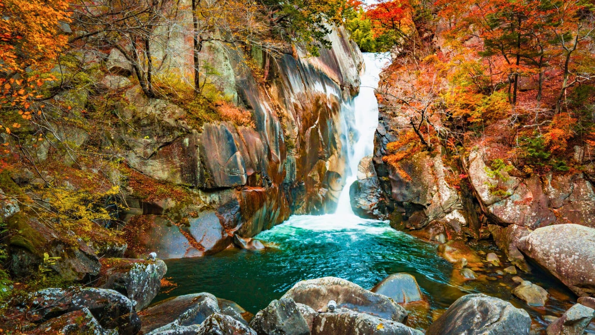 [Shosenkyo Gorge] The highlight is the autumn leaves, and the combination of the autumn leaves and Senga Falls is a spectacular sight. It is about a 27-minute drive from our hotel.