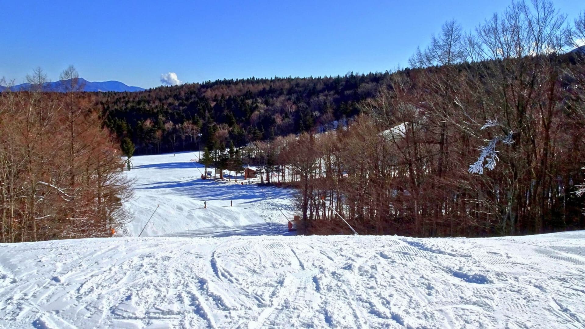 [Fujiten Snow Resort] Enjoy snowboarding and skiing with Mt. Fuji in the background. Approximately an hour's drive from our hotel.